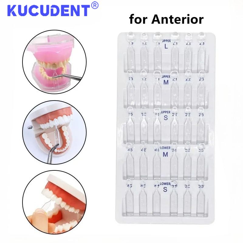 Teeth Whitening Moulds - 30個入り／セット 歯科用ベニア成形用型 前歯用 コンポジットレジン成形用 光硬化性充填材キット 歯のホワイトニング用歯科器具