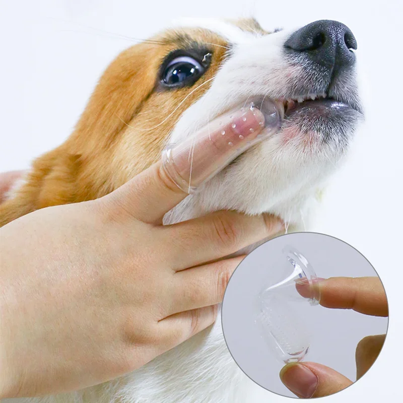 スーパーソフトペット指歯ブラシテディ犬ブラシ口臭歯石歯ケアツ - Teeth Whitening Mouthwash のレビューと価格